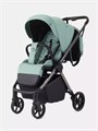 Коляска прогулочная Rant Golf Sage green 4670078642813