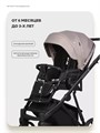 Коляска 3 в 1 Riko Basic Montana X Plus 42 Beige 5907729455683