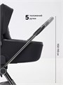 Коляска 2 в 1 Rant Teo Black Chrome Black 26019