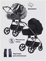 Коляска 2 в 1 Rant Teo Black Chrome Black 26019