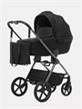 Коляска 2 в 1 Rant Teo Black Chrome Black 26019