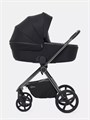 Коляска 2 в 1 Rant Teo Black Chrome Black 26019