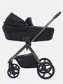 Коляска 2 в 1 Rant Teo Black Chrome Black 26019