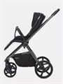 Коляска 2 в 1 Rant Teo Black Chrome Black 26019