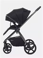 Коляска 2 в 1 Rant Teo Black Chrome Black 26019