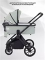 Коляска 2 в 1 Rant Falcon Neo Sage 4670078655912