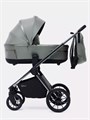 Коляска 2 в 1 Rant Falcon Therm Dark green 4670078655967