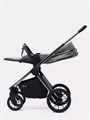 Коляска 2 в 1 Rant Falcon Therm Dark green 4670078655967