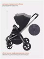 Коляска прогулочная Rant Flex Pro 2023 RA099 Black 4670078638274