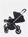 Коляска прогулочная Rant Flex Pro 2023 RA099 Black 4670078638274