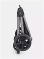 Коляска прогулочная Rant Flex Pro 2023 RA099 Black 4670078638274