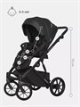 Коляска 2 в 1 Riko Basic Montana Ecco 12 black 5907729451906
