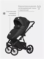 Коляска 2 в 1 Riko Basic Montana Ecco 12 black 5907729451906