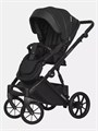Коляска 2 в 1 Riko Basic Montana Ecco 12 black 5907729451906