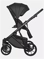 Коляска 2 в 1 Riko Basic Montana Ecco 12 black 5907729451906