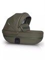 Коляска 2 в 1 Riko Basic Delta Ecco 13 olive 5907729452385