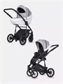 Коляска 2 в 1 Riko Basic Pacco 05 grey fox 5907729452163