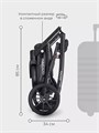 Коляска 2 в 1 Riko Basic Pacco 05 grey fox 5907729452163