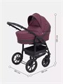 Коляска 2 в 1 Rant Patio Purple 5903990640278