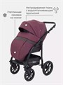 Коляска 2 в 1 Rant Patio Purple 5903990640278