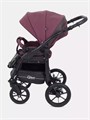 Коляска 2 в 1 Rant Patio Purple 5903990640278