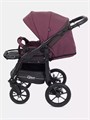 Коляска 2 в 1 Rant Patio Purple 5903990640278