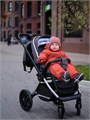 Коляска 2 в 1 Mowbaby Tilda Carbon 4670078627179