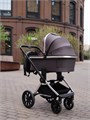 Коляска 2 в 1 Mowbaby Tilda Carbon 4670078627179