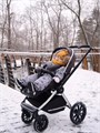 Коляска 2 в 1 Mowbaby Tilda Carbon 4670078627179