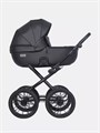 Коляска 2 в 1 Riko Basic Montana Ecco Prestige 12 Black 5907729452965