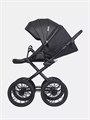 Коляска 2 в 1 Riko Basic Montana Ecco Prestige 12 Black 5907729452965