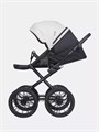Коляска 2 в 1 Riko Basic Montana Ecco Prestige 11 White 5907729452958