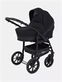Коляска 2 в 1 Rant Patio Black 5903990641114