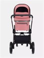 Коляска 2 в 1 Rant Falcon Pink 16324