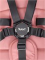Коляска 2 в 1 Rant Falcon Pink 16324