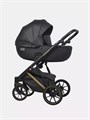 Коляска 2 в 1 Riko Basic Montana Premium Gold 02 5907729454099