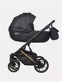 Коляска 2 в 1 Riko Basic Montana Premium Gold 02 5907729454099