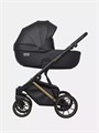 Коляска 2 в 1 Riko Basic Montana Premium Gold 02 5907729454099