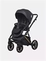 Коляска 2 в 1 Riko Basic Montana Premium Gold 02 5907729454099
