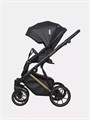 Коляска 2 в 1 Riko Basic Montana Premium Gold 02 5907729454099