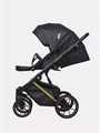 Коляска 2 в 1 Riko Basic Montana Premium Gold 02 5907729454099