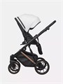 Коляска 2 в 1 Riko Basic Montana Premium Copper 11 5907729454105