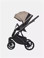 Коляска 2 в 1 Riko Basic Montana Ecco 22 Beige 5907729454235