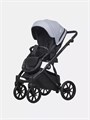 Коляска 2 в 1 Riko Basic Montana Ecco 23 Grey 5907729454242