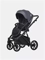 Коляска 2 в 1 Riko Basic Montana Ecco 24 Graphite 5907729454259