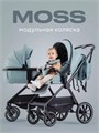 Коляска 2 в 1 Rant Moss Sage green 4670078642509