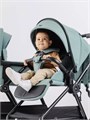 Коляска 2 в 1 Rant Moss Sage green 4670078642509