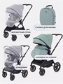 Коляска 2 в 1 Rant Moss Sage green 4670078642509
