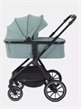 Коляска 2 в 1 Rant Moss Sage green 4670078642509