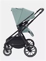 Коляска 2 в 1 Rant Moss Sage green 4670078642509